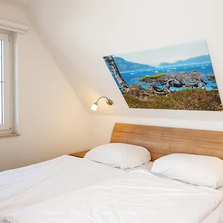 Family Dori B6 - A59778