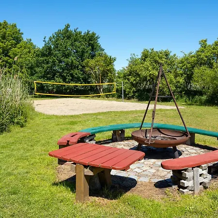 Family Dori B6 - A59778 *